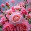 barnes_donna79